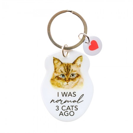 Pet Keyring with Charm | I Was Normal 3 Cats Ago